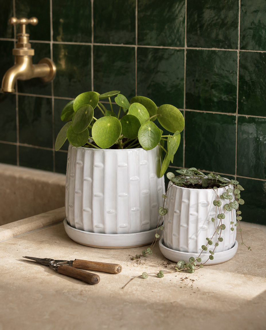 Bamboo Planter Set