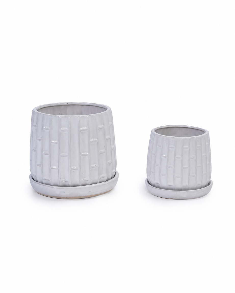 Bamboo Planter Set