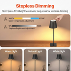 Cordless Table Lamps